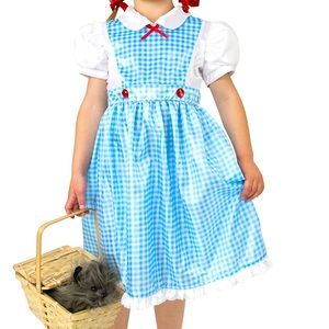 Little Adventures “Kansas Girl” aka Dorothy Wizard of Oz Costume XL - Dress only